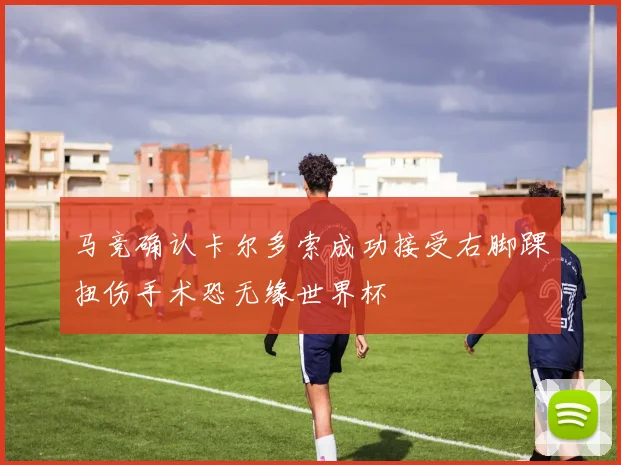 马竞确认卡尔多索成功接受右脚踝扭伤手术恐无缘世界杯